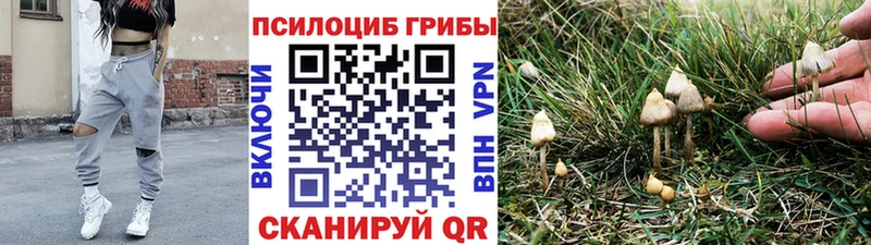 Псилоцибиновые грибы Cubensis  Городище 